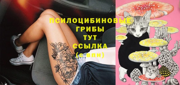 прущая мука Краснослободск