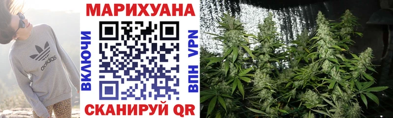 Бошки Шишки планчик Тимашёвск